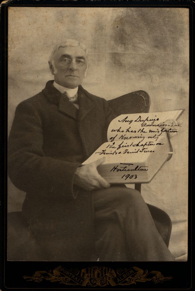 Portrait sépia : homme âgé assis, cheveux gris clairs, costume sombre tenant un livre ouvert sur les genoux : inscription manuscrite sur le livre "Aug. Dupuis", "Horticulteur", "1903", mention "mise en circulation"/"publication". Fond neutre sombre. Encadrement décoratif noir, inscription "PORTRAIT ALBUM" (bas).