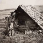 Four à pain protégé