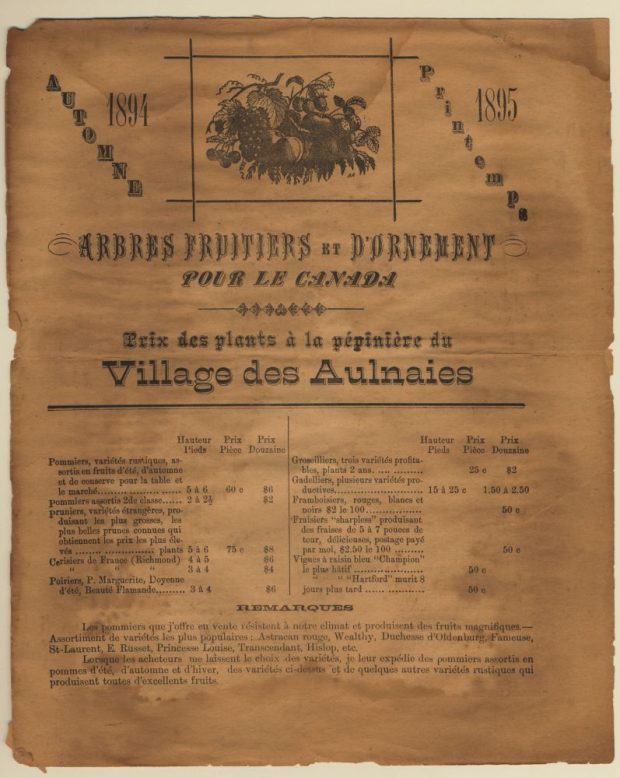 Page de catalogue de semences 1894-1895. Titre : ARBRES FRUITIERS ET D'ORNEMENT POUR LE CANADA, sous-titre Prix des plants à la pépinière du Village des Aulnaies. Liste d’arbres fruitiers avec hauteur et prix. Remarques: qualité plants adaptés climat canadien, variétés spécifiques. Imprimé brun sur papier jauni, bordures, illustrations de fruits. 