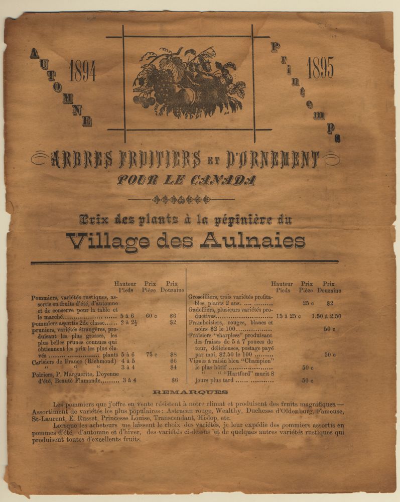 Page de catalogue de semences 1894-1895. Titre : "ARBRES FRUITIERS ET D'ORNEMENT POUR LE CANADA", sous-titre "Prix des plants à la pépinière du Village des Aulnaies". Liste d’arbres fruitiers avec hauteur et prix. Remarques: qualité plants adaptés climat canadien, variétés spécifiques. Imprimé brun sur papier jauni, bordures, illustrations de fruits. 