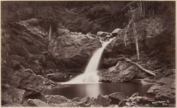 Épreuve albumine (avant 1865, Alexander Henderson) : Sur la rivière, Saint-Pascal, Bas-Saint-Laurent, QC. Cascade d’eau vive sur rochers moussus se déversant dans un bassin paisible. Nature sauvage luxuriante (rochers escarpés, végétation dense, arbres branches délicates).