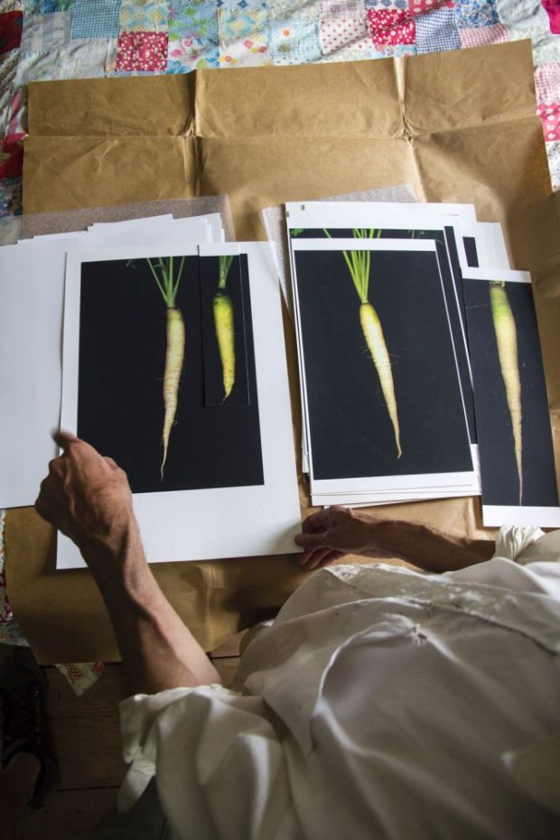 Vue de dessus d'une personne tenant des tirages photographiques de carottes blanches sur un fond sombre. Les photos sont posées sur du papier kraft et une couverture patchwork colorée.