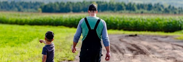 Vue arrière d'un adulte et d'un enfant marchant sur un chemin de terre à travers un champ vert luxuriant. L'enfant pointe du doigt vers la gauche.