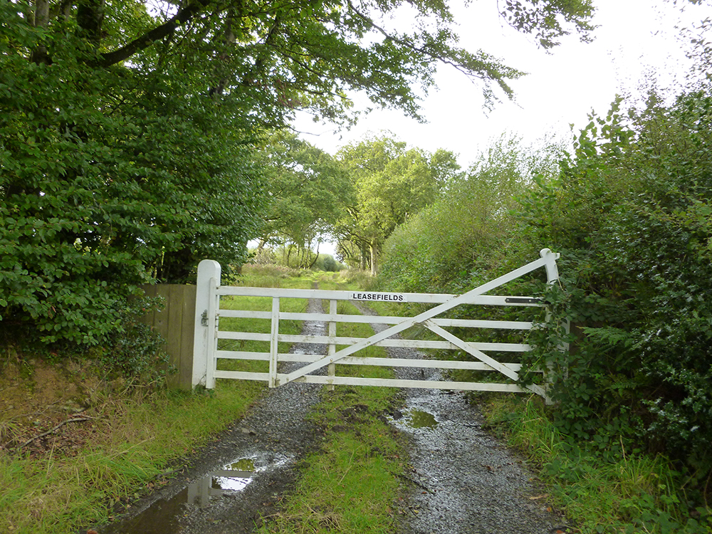À l’avant-plan, on voit un grand portail de bois blanc portant l’inscription « Leasefields ». Ce portail bloque le passage vers une route de campagne de gravier qui traverse une région boisée.