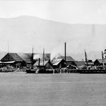 La scierie Hastings, 1872