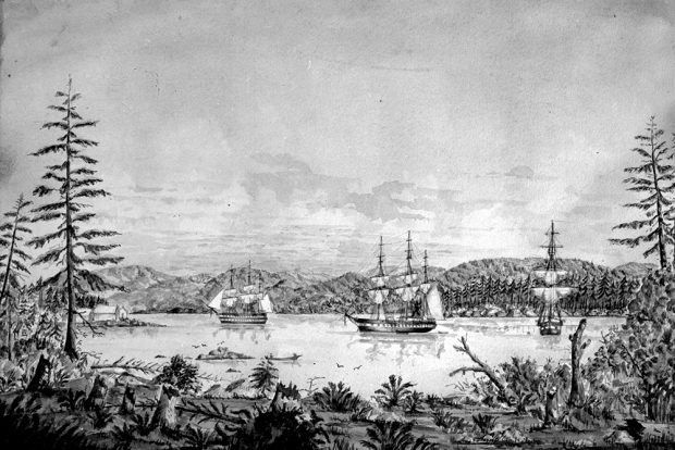 Une illustration en noir et blanc de la baie, à Esquimalt, en 1862. On y voit la baie d’un point de vue assez bas à partir de la rive la plus proche. Trois navires européens ayant jeté l’ancre dans la baie se découpent sur le paysage de montagnes ondulantes de l’autre rive. 