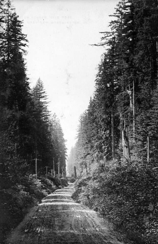 Une photographie en noir et blanc de la route Old Yale, prise autour de l’an 1900. Il s’agit d’une étroite route de terre qui serpente à travers une dense forêt. 