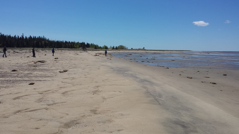 Un groupe de bénévole au loin sur la plage