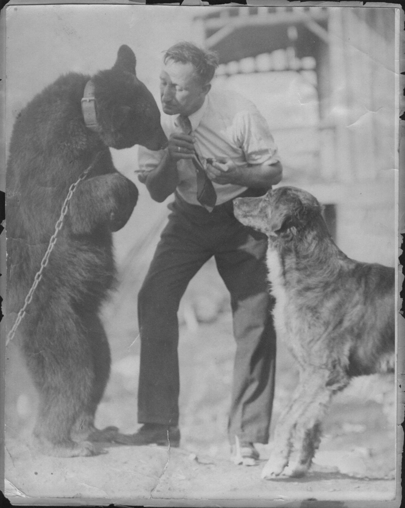 Photographie d’archives en noir et blanc d’Alvin Baker entouré d’un ours et d’un chien. L’ours, qui se tient debout à gauche, porte une chaîne au cou.