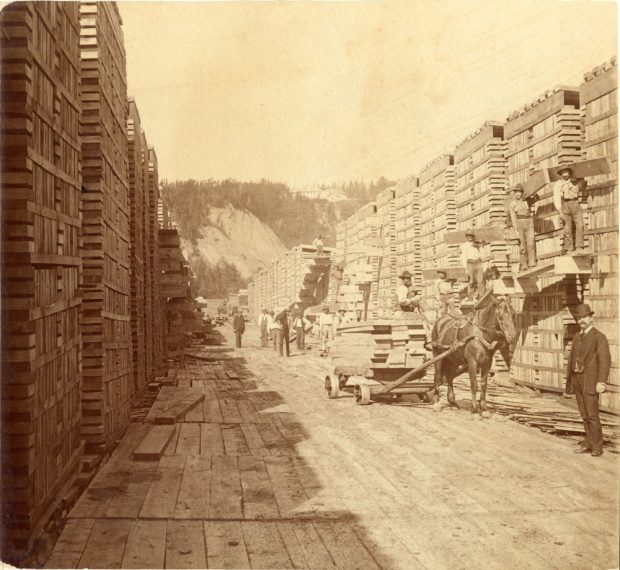 Photographies d’archives aux tons sépia montrant d’innombrables planches de bois empilées sur plusieurs mètres de hauteur. Les piles forment un long corridor où s’affairent des travailleurs. Certains d’entre eux sont occupés à prendre des madriers sur une charrette à cheval pour les transférer sur le dessus d’une pile de bois. À droite, à l’avant-plan, un homme en complet-cravate regarde l’objectif.