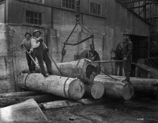 Devant l’usine, trois hommes se tiennent sur des troncs de grande taille attachés par des chaînes.