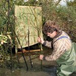 Chasse au canard