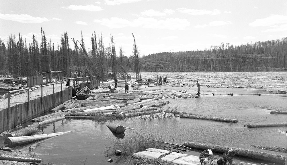 Sur un lac au milieu de la forêt, des hommes guident les billots vers une ouverture au milieu d’un barrage de terre et de bois. 