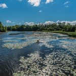 Seul sur l’eau