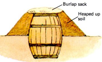 Dessin humoristique d’un baril en bois partiellement enterré dont l’ouverture est couverte.