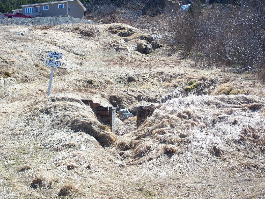 Décombres des fondations en pierre d’une cave à légumes, au milieu d’un champ herbeux. 