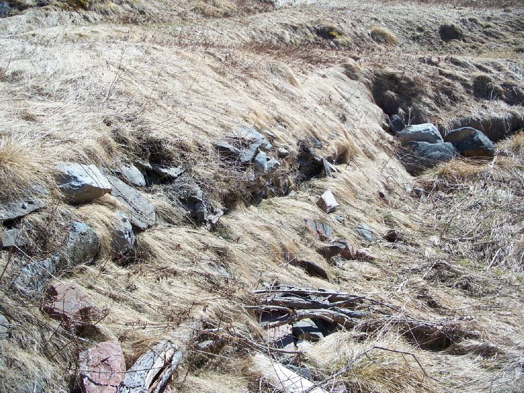 Décombres des fondations en pierre d’une cave à légumes au milieu d’un champ herbeux. 