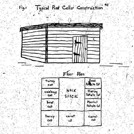 Dessin d’une cabane vue du dehors et de l’intérieur d’une cave à légumes avec ses compartiments à légumes.