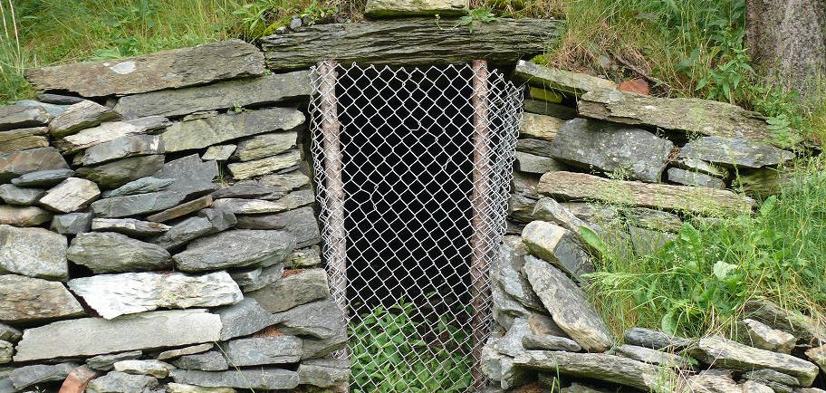 Extérieur d’une cave à légumes à flanc de colline entourée d’un mur de pierre et recouverte d’herbe, avec une clôture à mailles au-dessus de l’entrée.