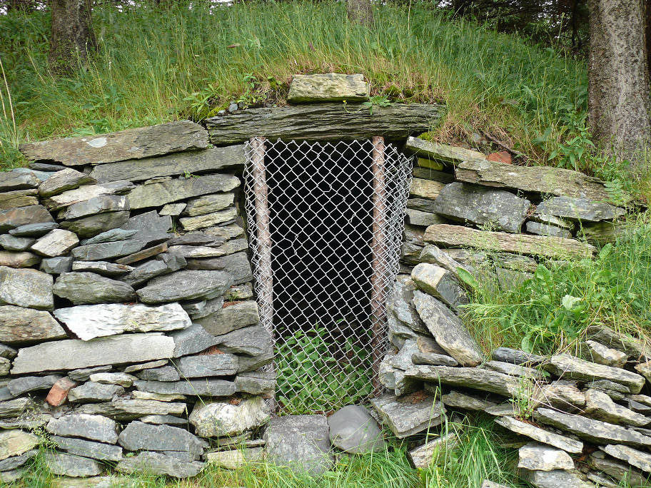 Extérieur d’une cave à légumes à flanc de colline entourée d’un mur de pierre et recouverte d’herbe, avec une clôture à mailles au-dessus de l’entrée.