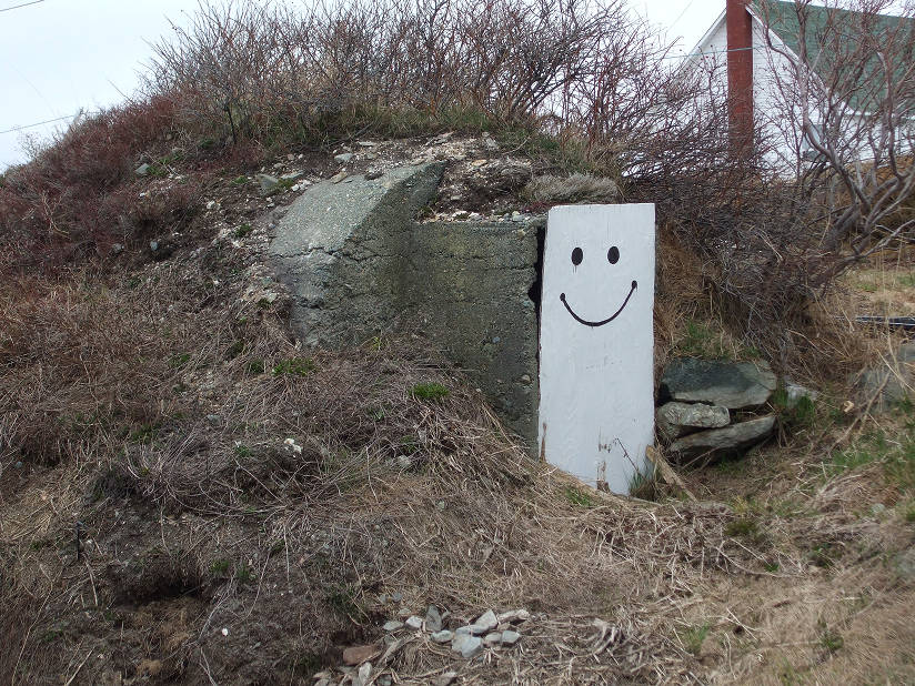 Cave à légumes extérieure en béton bâtie à flanc de colline et recouverte d’herbe, avec une porte d’entrée décorée d’un grand visage souriant.