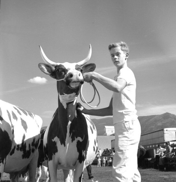 Photo en noir et blanc d’un garçon vêtu de blanc tenant une vache à cornes, les deux sont tournés vers l’avant.