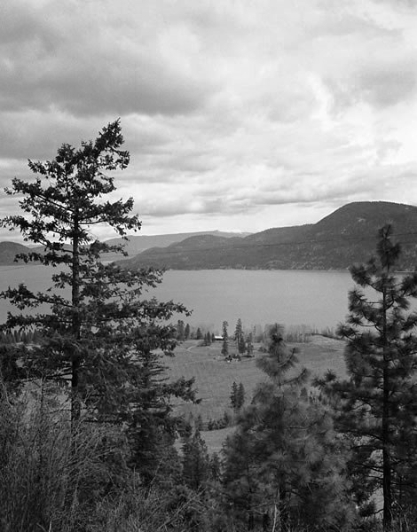 Photo en noir et blanc montrant un lac avec des collines et des arbres à l’arrière-plan.