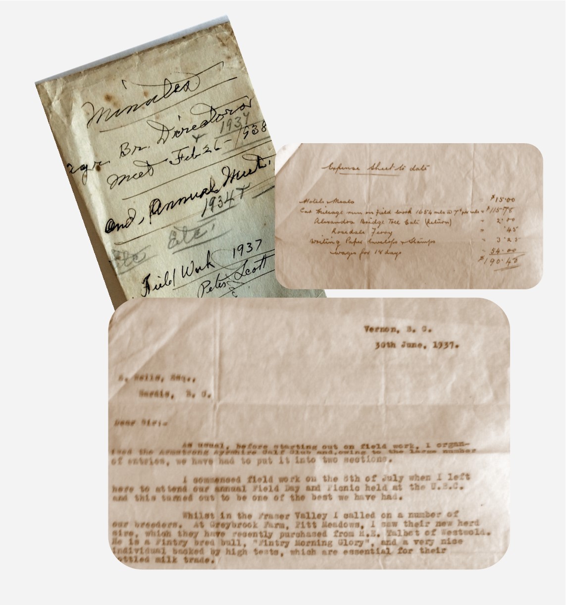 Photo sépia montrant les segments d’une lettre et d’une enveloppe.