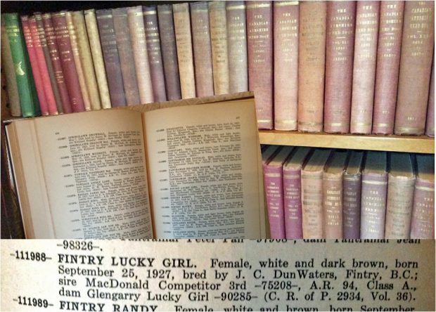 Photo en couleur montrant des rayonnages de livres avec un livre ouvert en surimpression. En bas figure en gros plan l’inscription de Lucky Girl.