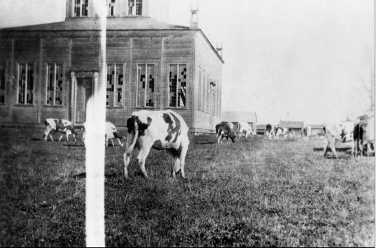 Photo en noir et blanc du temple, avant sa restauration par la York Pioneer and Historical Society. Beaucoup de vitres étaient cassées, et le terrain servait de pâturage à un troupeau de vaches. 