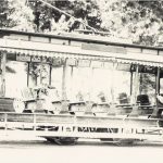Chemin de fer d’Oshawa, tramway d’été