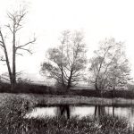 Embouchure du ruisseau Oshawa