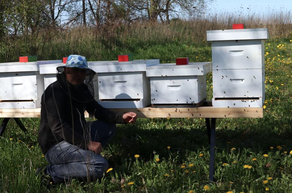 Une personne agenouillée à côté de cinq boîtes de ruche d'abeilles.