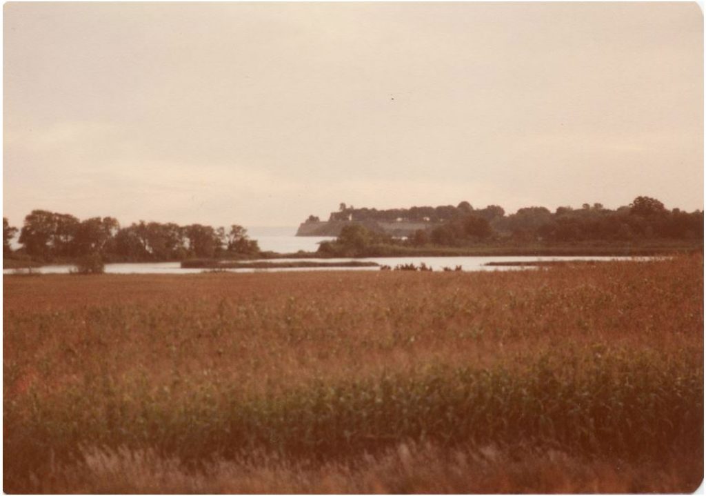 Photographie couleur de la vue du bord du lac depuis Second Marsh. Champ en premier plan avec des arbres entourant un petit plan d'eau au milieu et Bonnie Brae Point visible en arrière-plan.