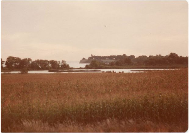 Photographie couleur de la vue du bord du lac depuis Second Marsh. Champ en premier plan avec des arbres entourant un petit plan d'eau au milieu et Bonnie Brae Point visible en arrière-plan.