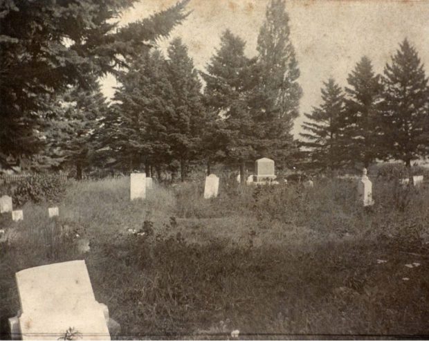 Photographie sépia de tombes parmi l'herbe envahie. et des arbres entourent les tombes en arrière-plan.