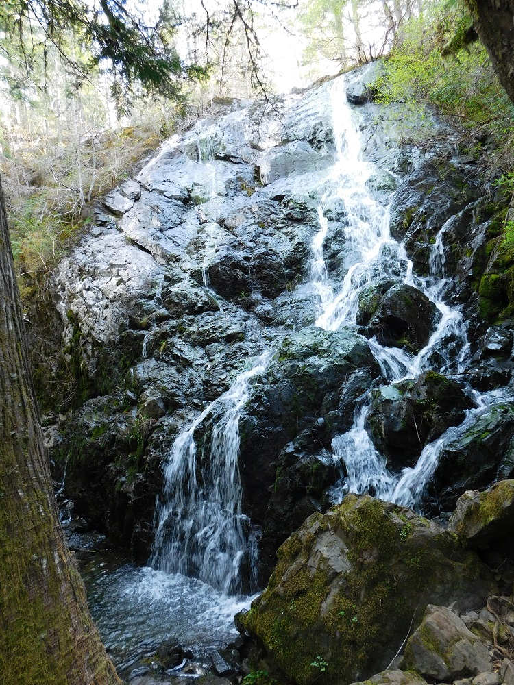 Une chute d’eau coulant en cascades sur de gros rochers entre les arbres d’une forêt.