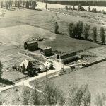 Vue aérienne de la ferme laitière des McKinnon, Standard Dairy vers 1950