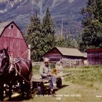 Stanley Hall avec des chevaux, 1956