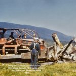 Stanley Hall et Jack Hall empilent des souches pour les brûler, 1961