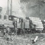 Train chargé de grumes, Galena Bay vers 1910