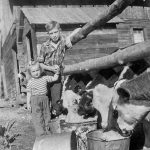 Ferme de la famille Catherwood vers 1960