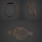 Images en 3-D fixe : la Bague de Jésuite
