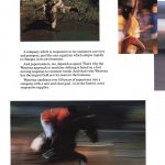 Brochure Fast-Moving de Weavexx