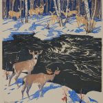 Deer, Kananaskis, non datée