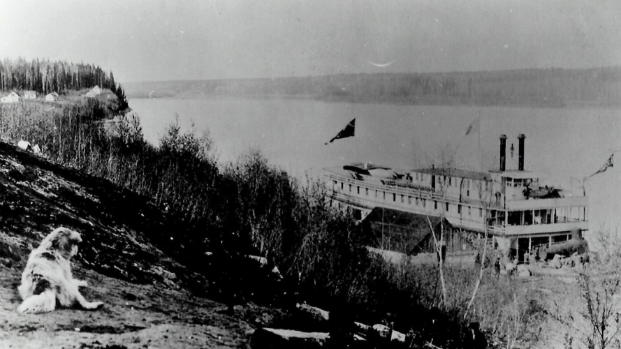 Photo noir et blanc Pris au sommet d'une colline surplombant les arbres dans lesquels il y a un grand bateau dans la rivière.