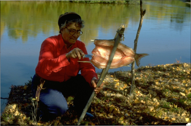Katie Sanderson plus âgée, vêtue d'une veste rouge, sèche du poisson sur un bâton le long de la rive.