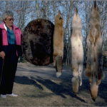 Katie Sanderson séchant les peaux