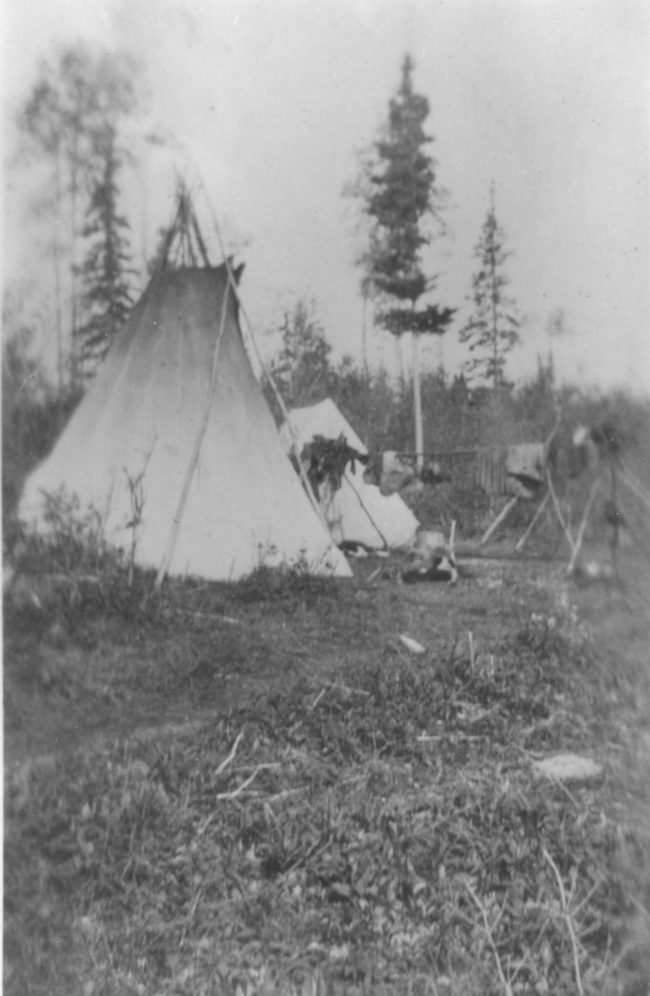 Image noir et blaanc. Deux tipis mis en place le long de la forêt. Une tipi est plus grand que l'autre. 