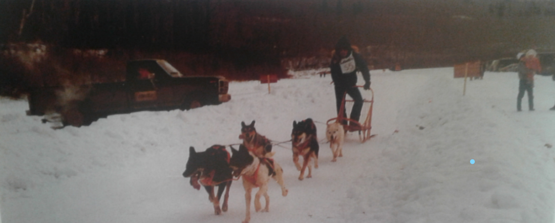 Une photo en couleur d'un homme derriére un traîneau à chiens sur un sol neigeux.